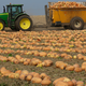 Illustration for article titled 80 percent of Americas canned pumpkin comes from one Illinois town